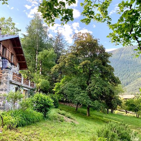 Chalet Le Tilleul Вальдеблор Экстерьер фото